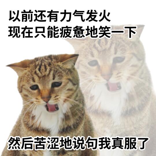 美丽的精神状态表情包