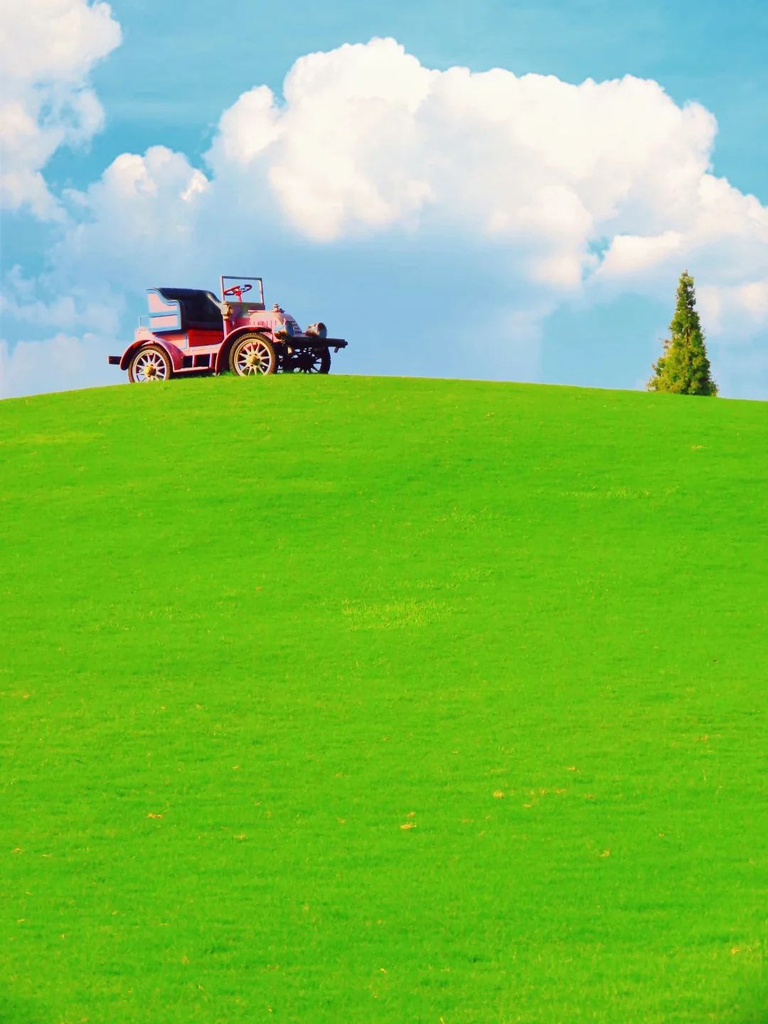 真的是南京‼️朋友圈都以为我去了新西兰