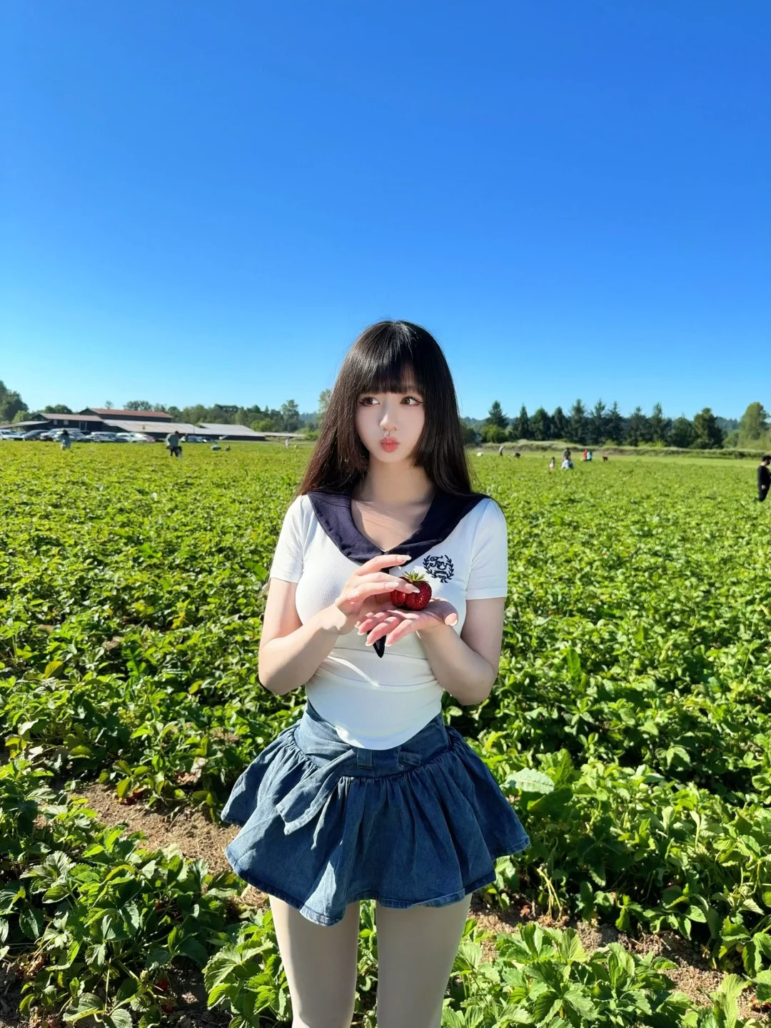 夏天呀是❤️草莓热烈的红色|西雅图摘草莓🍓