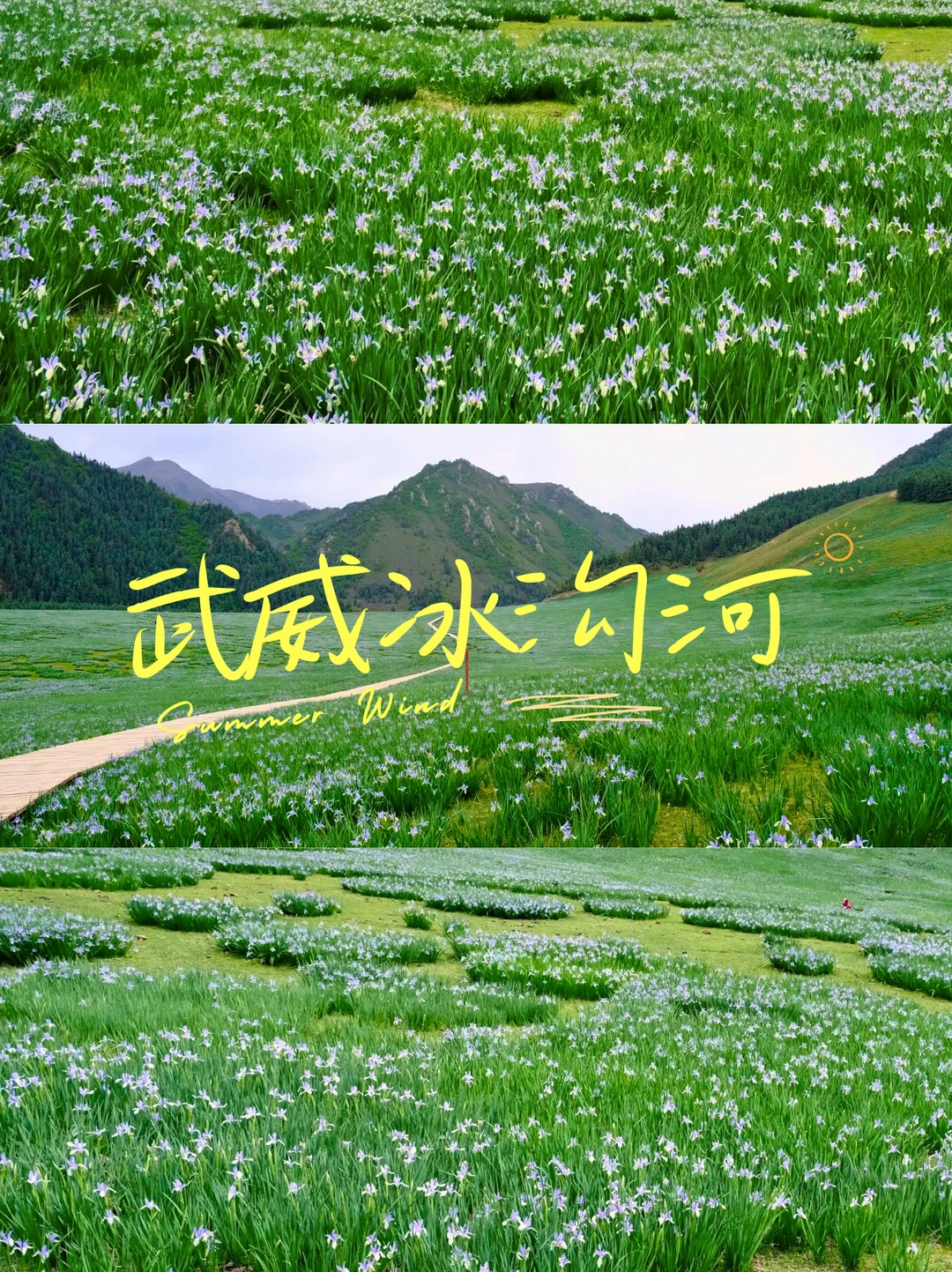 西安周边2天徒步封神🔥六月限定马兰花海