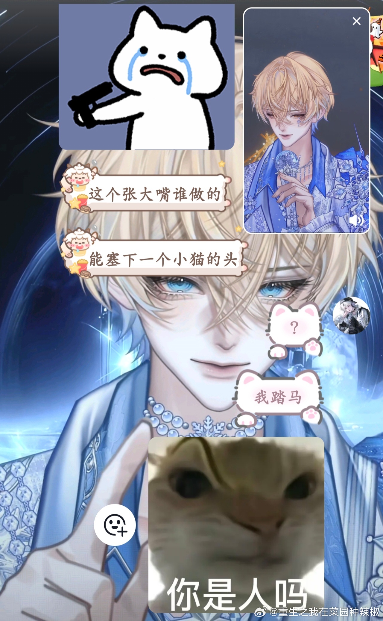 短短两句话，伤害了两只咪 