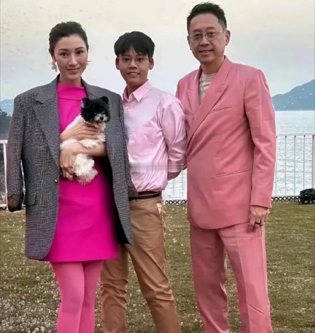 李嘉欣许晋亨儿子小时候很普通，现在已经长成大帅哥了。 