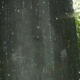 每日一善 善行不仅是对他人伸出援手，更是一种由内而外散发的温暖与关怀。它能跨越人