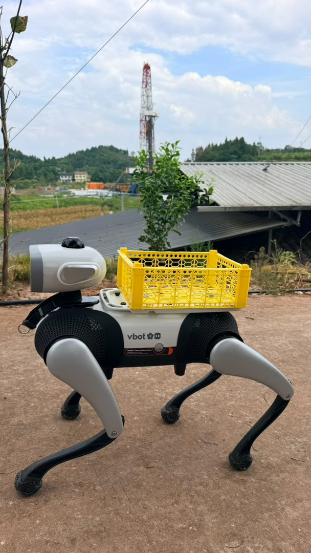 四川资源还是丰富，三姑这边已经在开采天然气了。带大头来打点气vbot超能机器狗