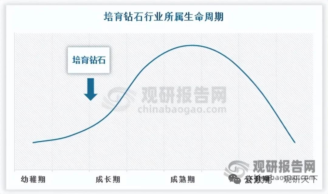 培育钻石产能疯狂扩张！内卷加剧利润持续下滑，消费出口依赖明显
 
核心逻辑：我国