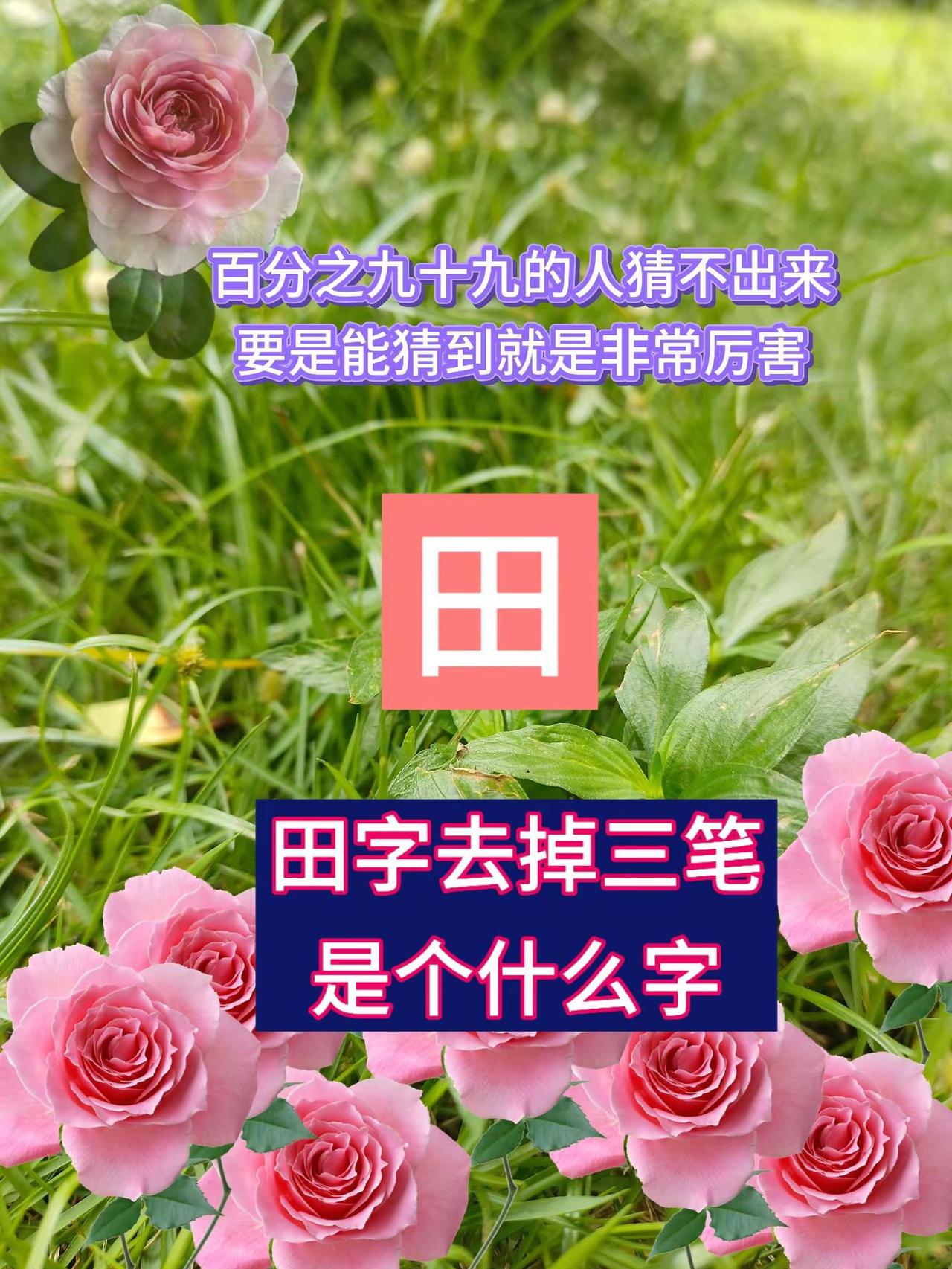 田字去掉三笔，是什么字？