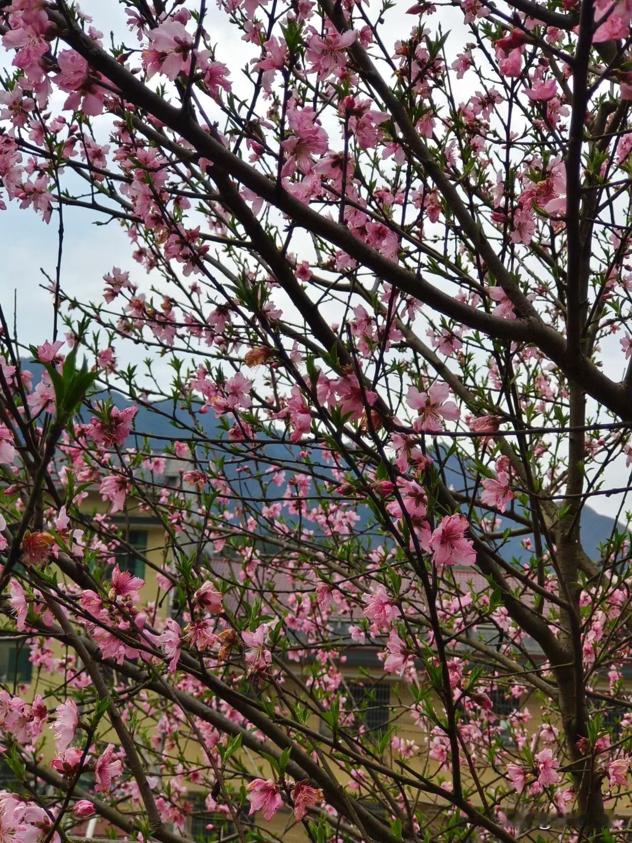 女人这一生，最该爱的人是你自己
 
咱们女人，一生都在学怎么去爱别人，却忘了怎么