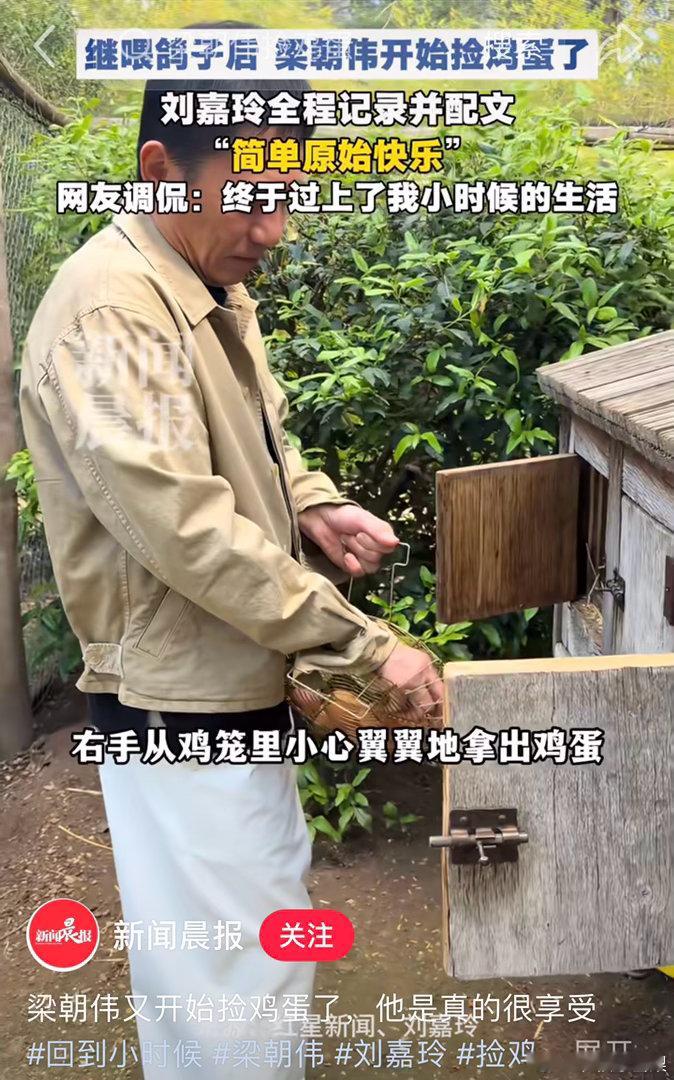 王祖贤摘菜，张曼玉割芋头， 梁朝伟捡鸡蛋🥚老奶奶跳杰克逊的舞一生何求，唯有自在