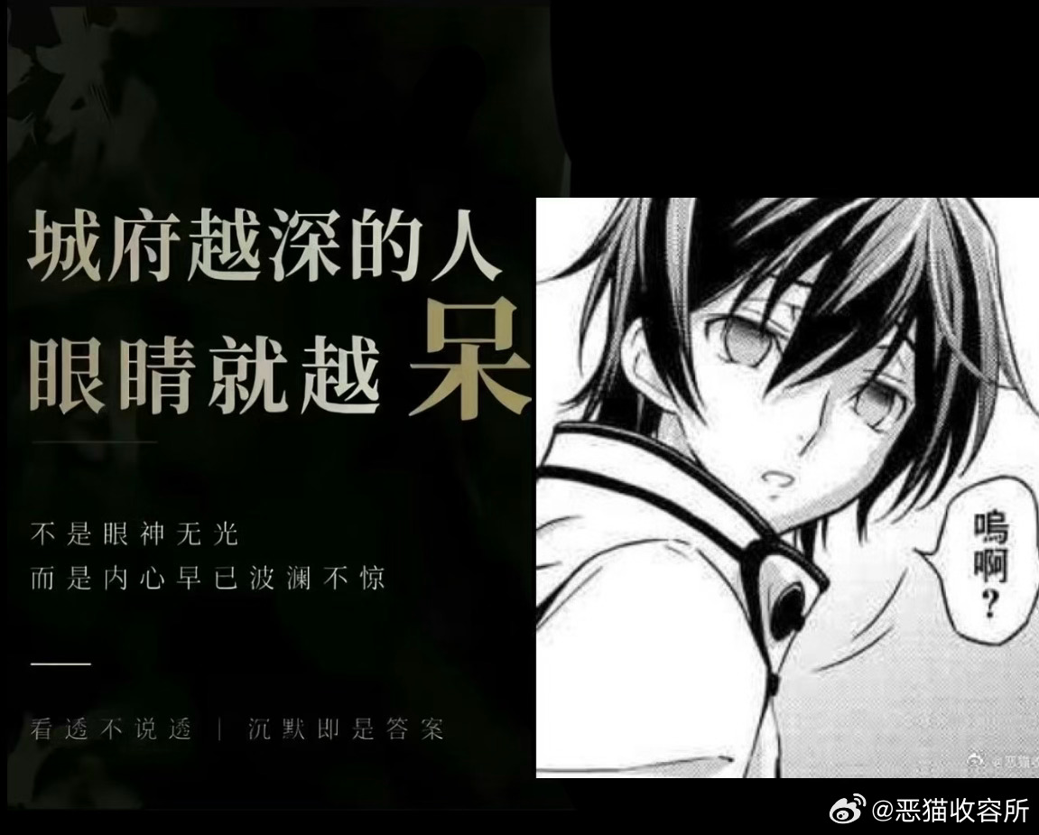 而露露只是说，呜啊？ 11578 