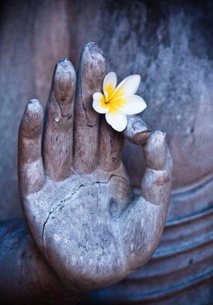 每天看老师的文章，已经成为我生活中不可或缺的一部分。从老师的文章中，总能学到或懂