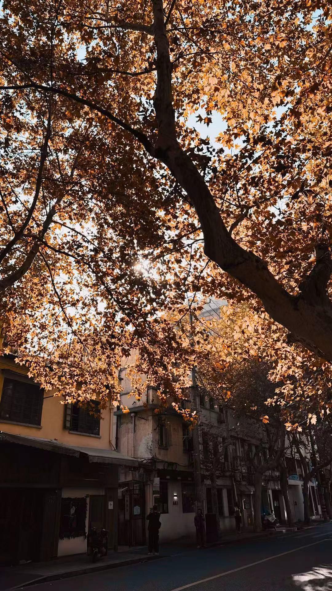 查理芒格说，如何从失败中提取智慧？首先要建立错误日志（错误事实，决策心理过程，错