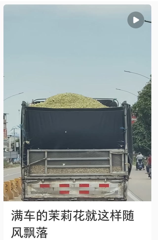 你的茉莉花奶茶可能被淹了受台风“美莎克”带来的持续性强降雨侵袭，广西横州全域暴发