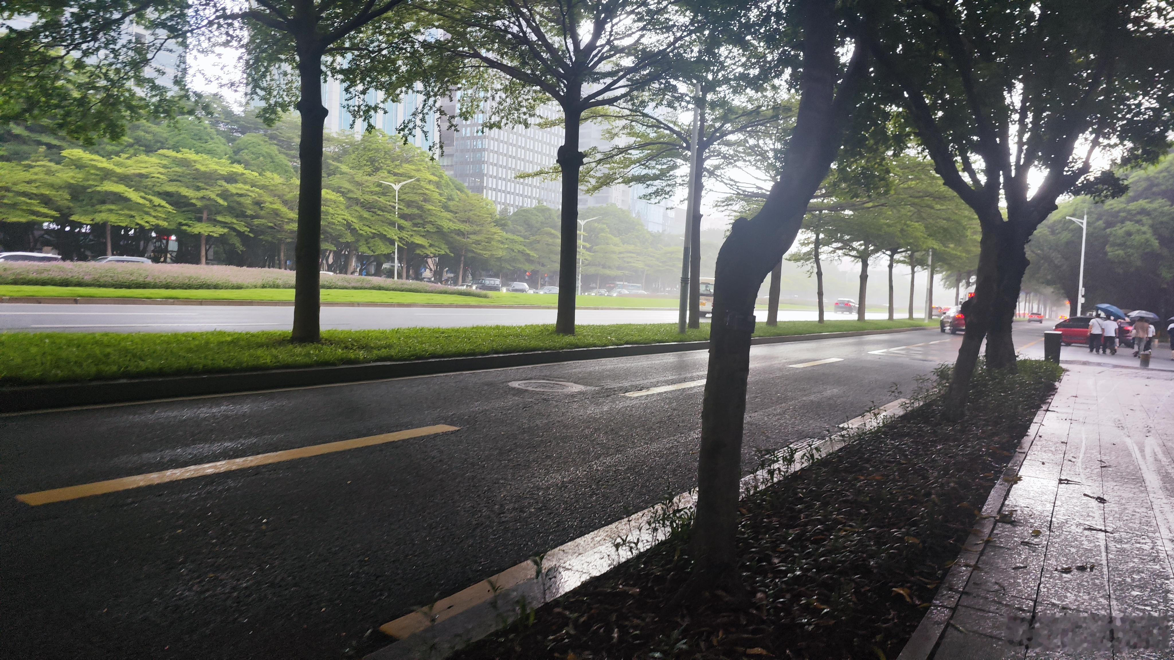 暴雨专挑下班的时候下，走到地铁站刚好停，真是牛马特供。 