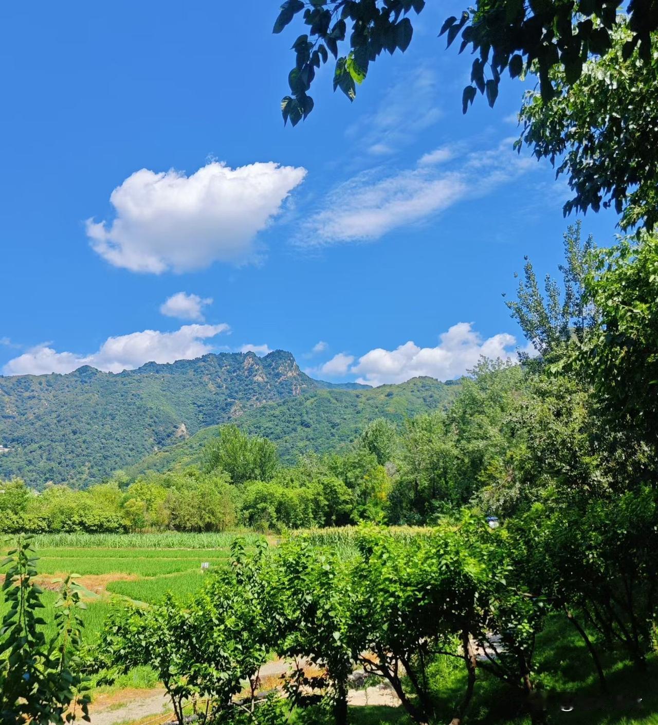 今日上班路上，看到了靓丽的特色风景。

一个戴着红领巾，背着书包，骑着自行车的小