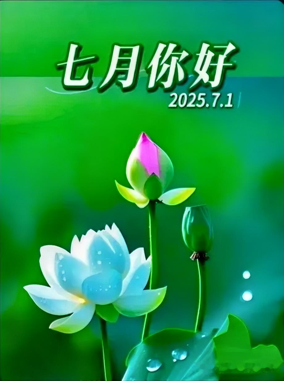 七月你好！
七月第一天
求个上上签
晚上不失眠
卡里不缺钱
嘎嘎顺利
嘎嘎开心