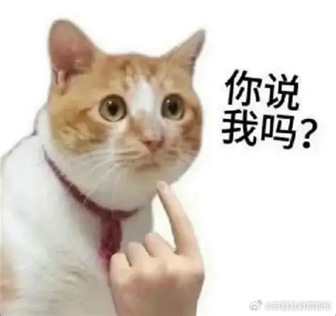 看《我知》的时候，感觉那帮老臣很想扶四儿跟二哥斗的感觉，好搞笑。老臣：你去跟你二