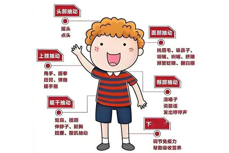 抽动症：家里一定要准备4个中药，第一个稳状态，第四个防反复，价格不高效果一流
我
