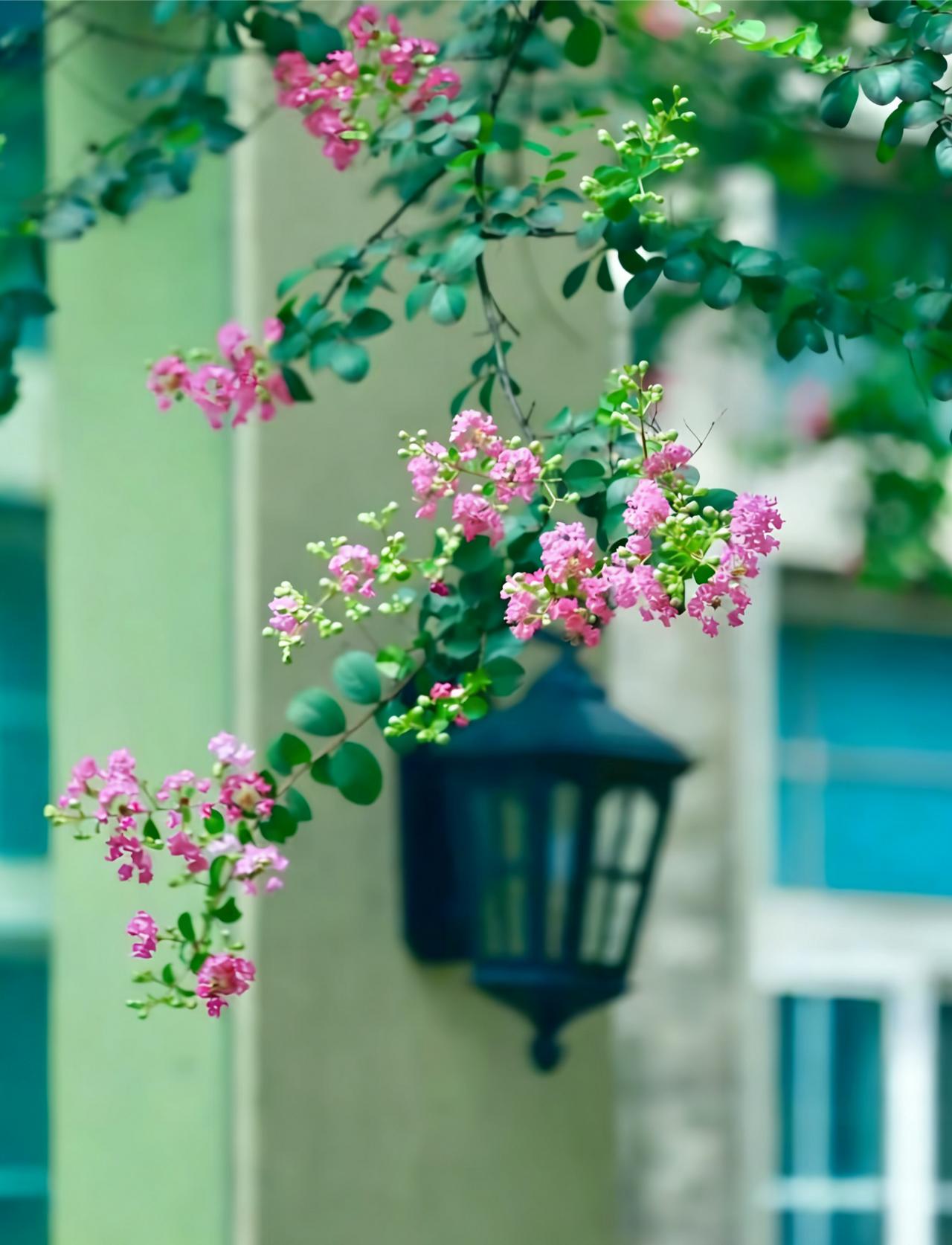 分享一下你随手拍下的照片