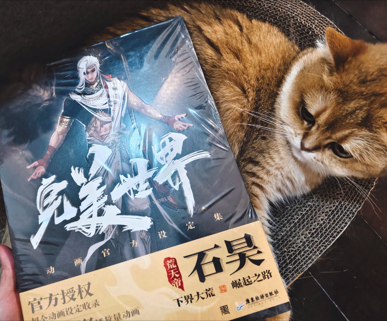 谢谢官方好厚实好重的一本剩下的内容也要好好做噢我会一直盯着你的 