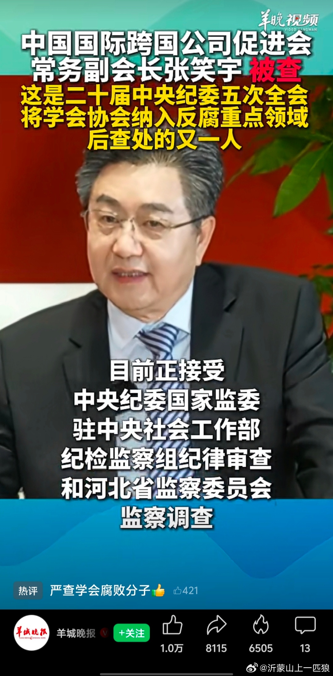 中国国际跨国公司促进会常务副会长 张笑宇 被  查(来源 : 羊城晚报) 