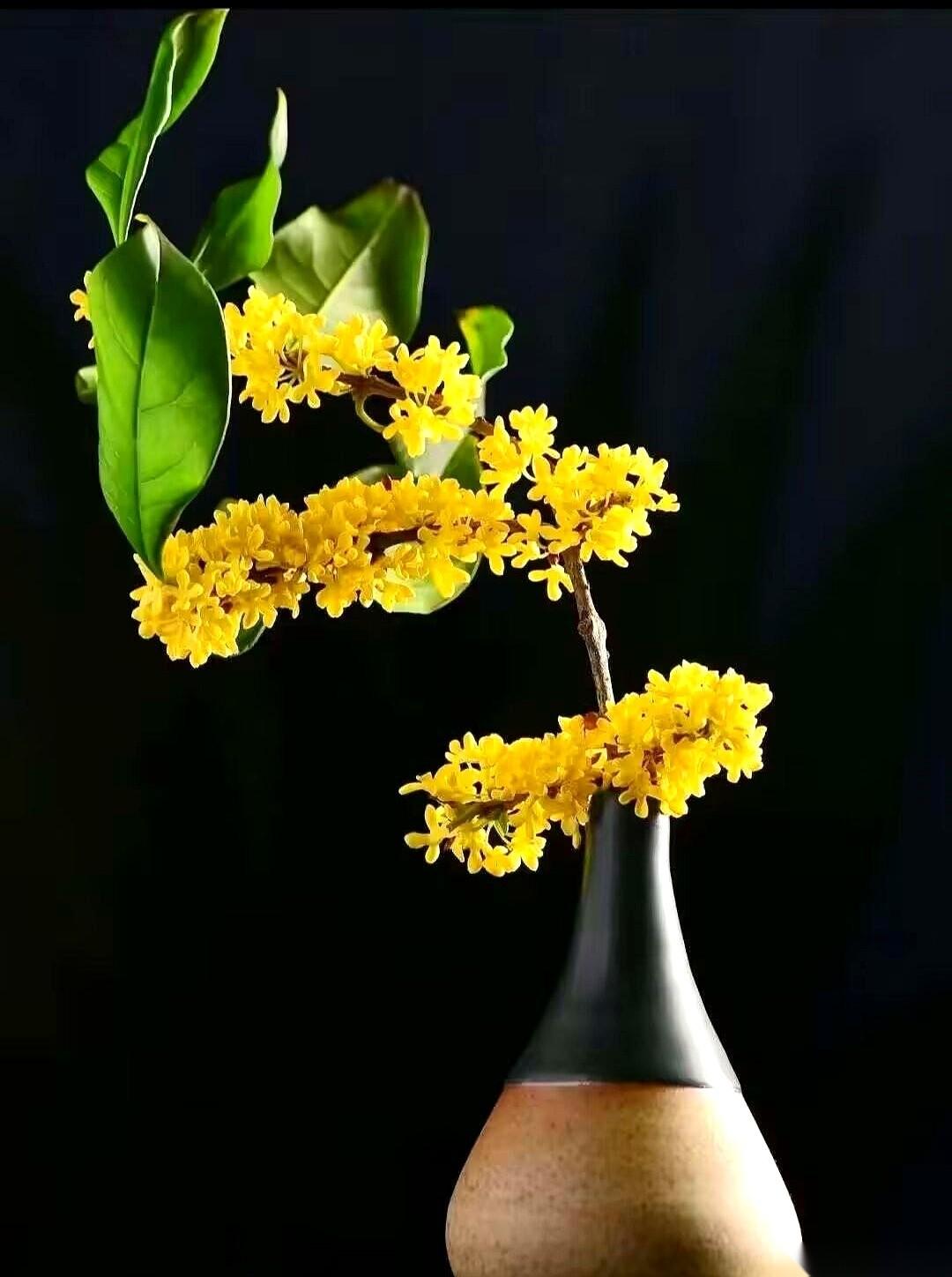 俄乌前线，一些画风诡异的东西出现了。
一片枯黄的草皮，突然自己动了。不是风吹，是