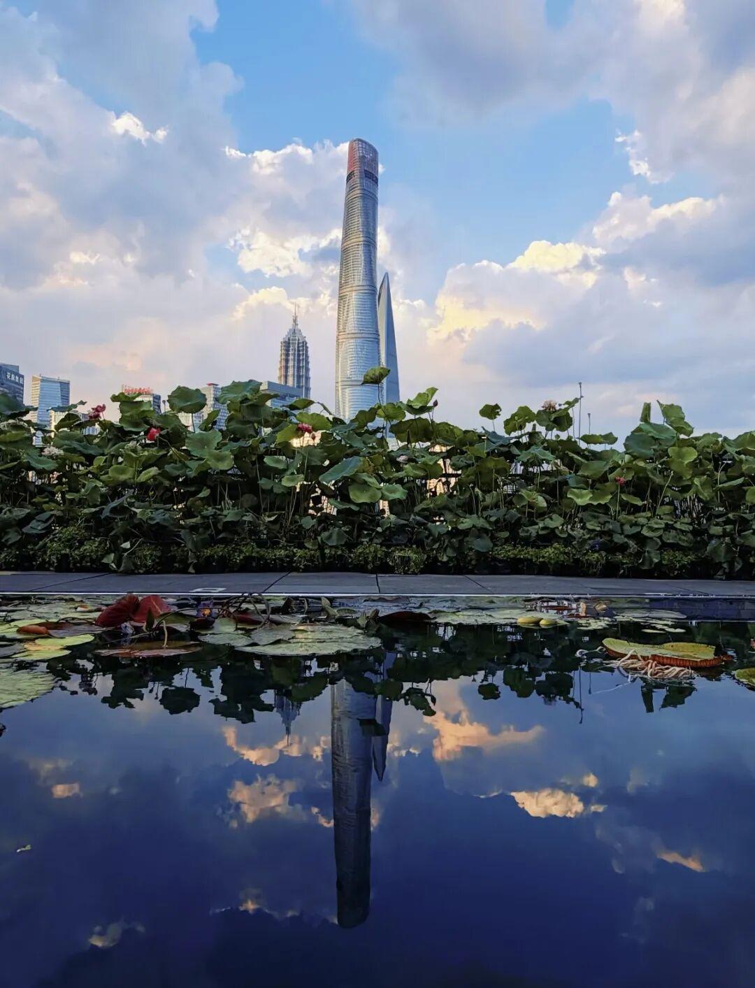 傍晚，我去小公园里散步。看夕阳把河水染成了金红色，看人，影和景融为一体，仿佛和时