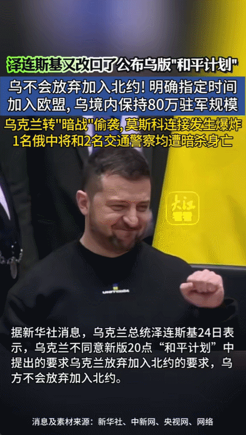 12月24日那天，乌克兰总统泽连斯基重新提起“和平计划”的二十条内容，之前他在柏