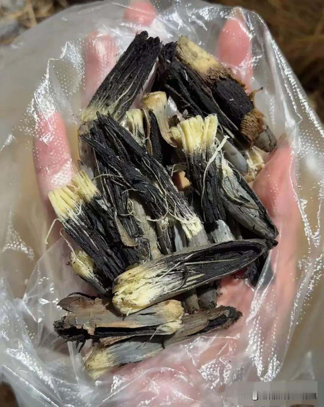 在沈阳，这个叫啥名字？据说还很好吃呢。