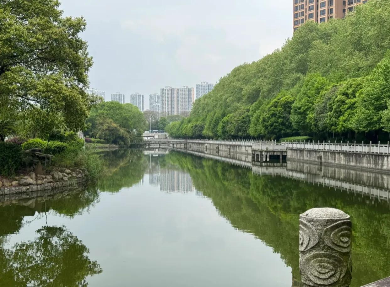 你发现了吗？单位小领导最大的无耻就是，抓着老实人使劲儿地薅，他们擅长将繁重任务一