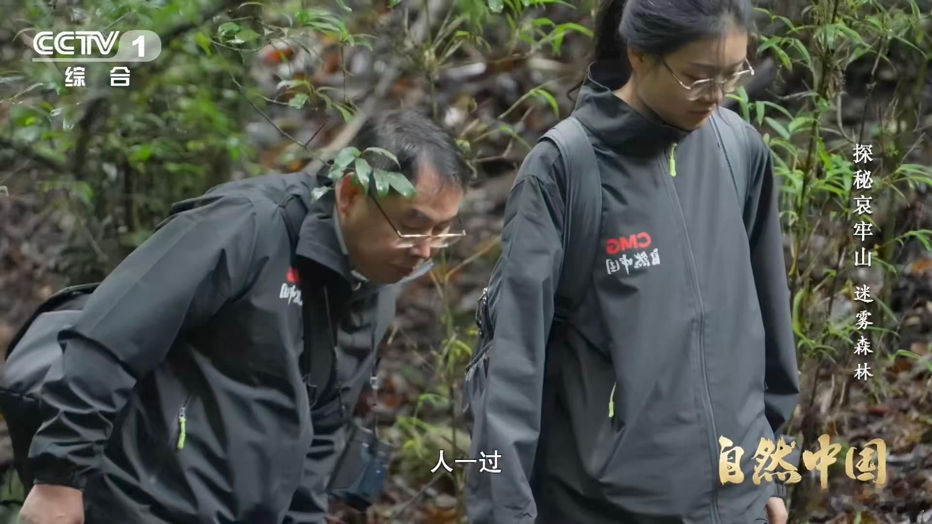 武侠小说的瘴气竟真实存在瘴气成分被测出来了 厌氧、发酵、混合毒气——科学词汇翻译