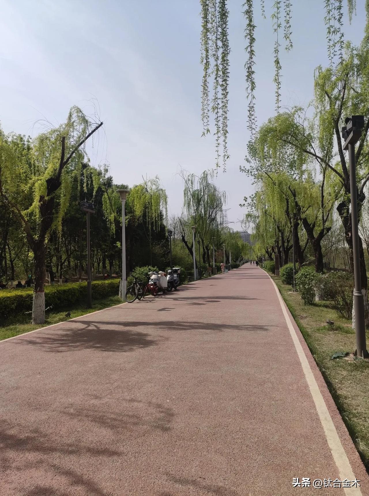 灞河浐灞段，西安郊游的最美河岸公园！
西安生活 
 灞河岸边春光好，
柳丝舞、花