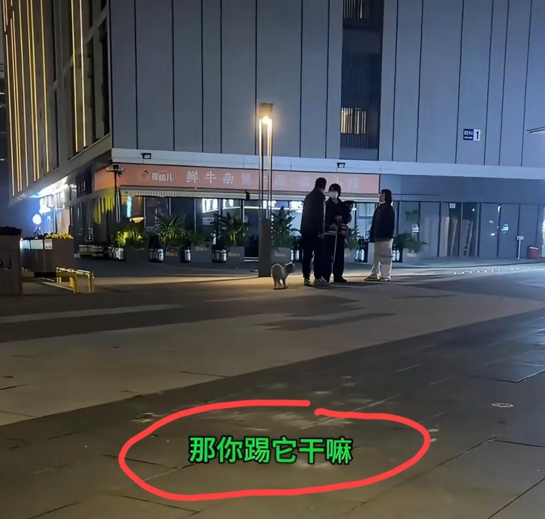 街边让人迷惑的一幕！
大哥牵着绳子遛狗，狗差点咬到两名女子，大哥直接踢了狗一脚，