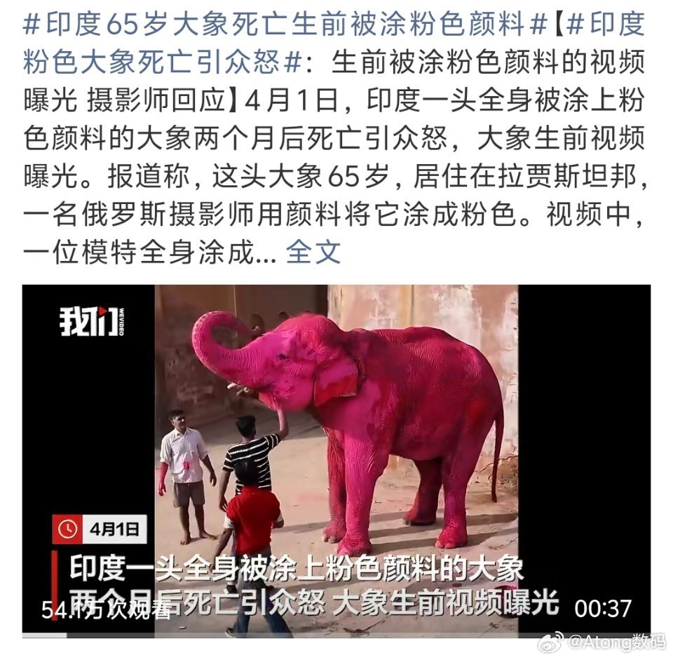 印度65岁大象死亡生前被涂粉色颜料好讨厌这种不尊重动物、生命的行为为了自己出片这