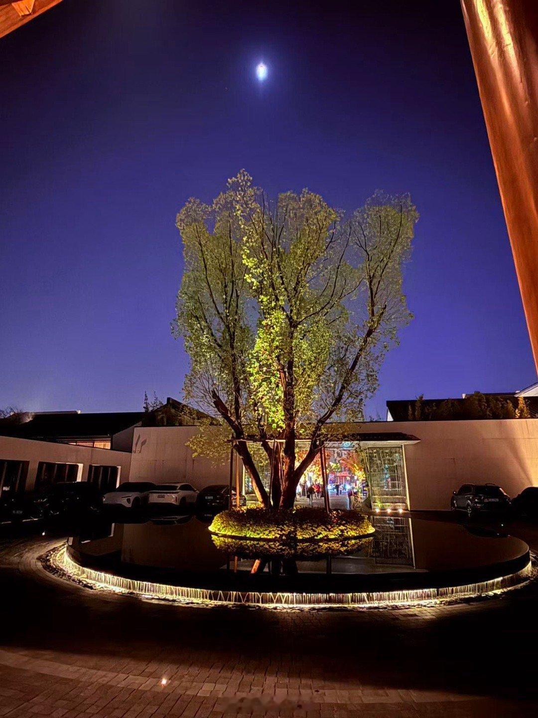 图二到图四是从我们房间阳台苏州金普敦竹辉酒店夜景。 