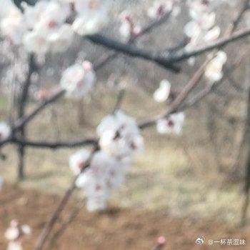 阳光信用 有时间一定要:多学习、多丰富自己本身、强大自己当有机会找到你的时候，你