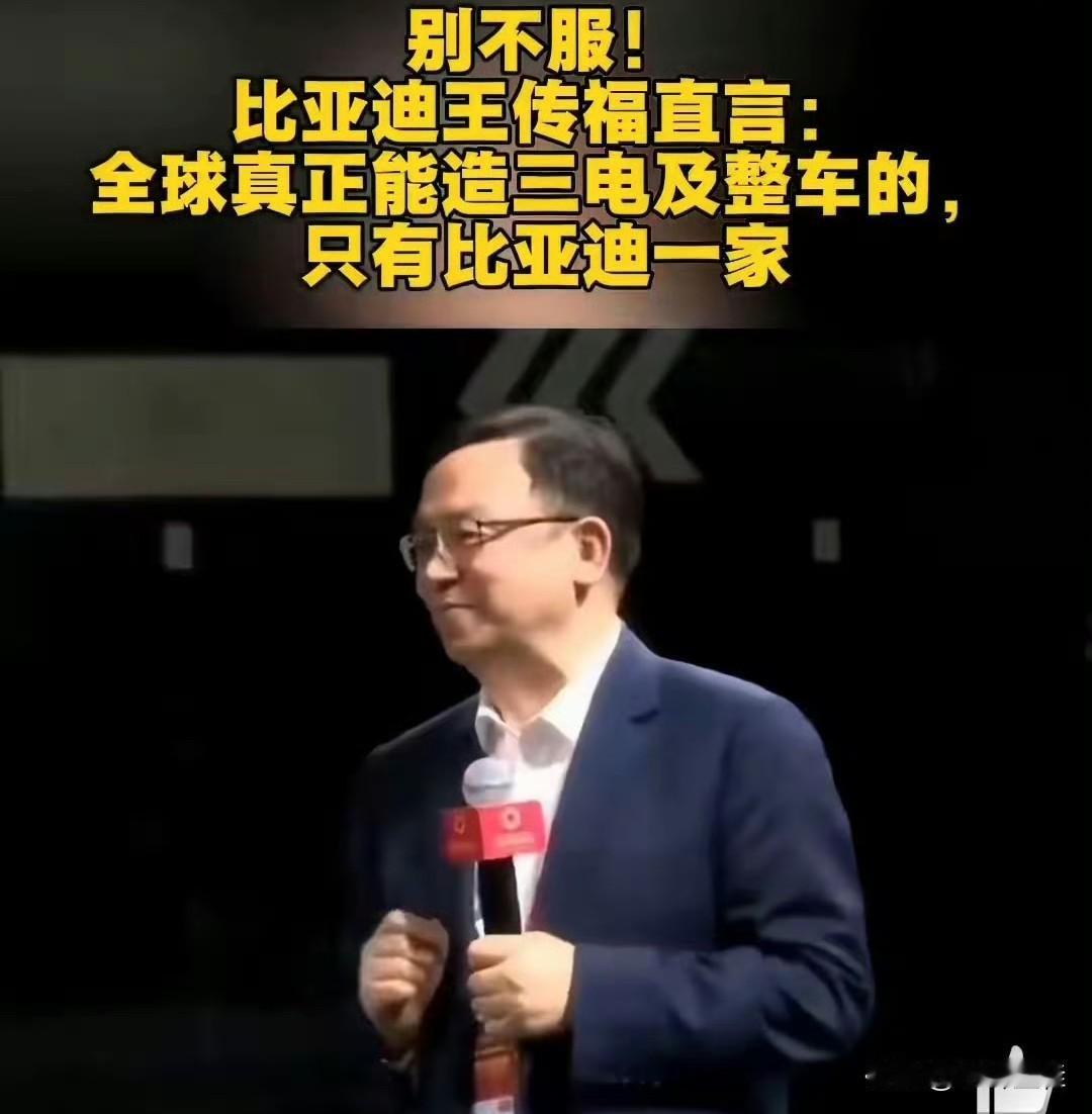 船夫哥：“全球真正能造三电及整车的，目前就只有比亚迪一家！”
这是船夫哥在某次媒