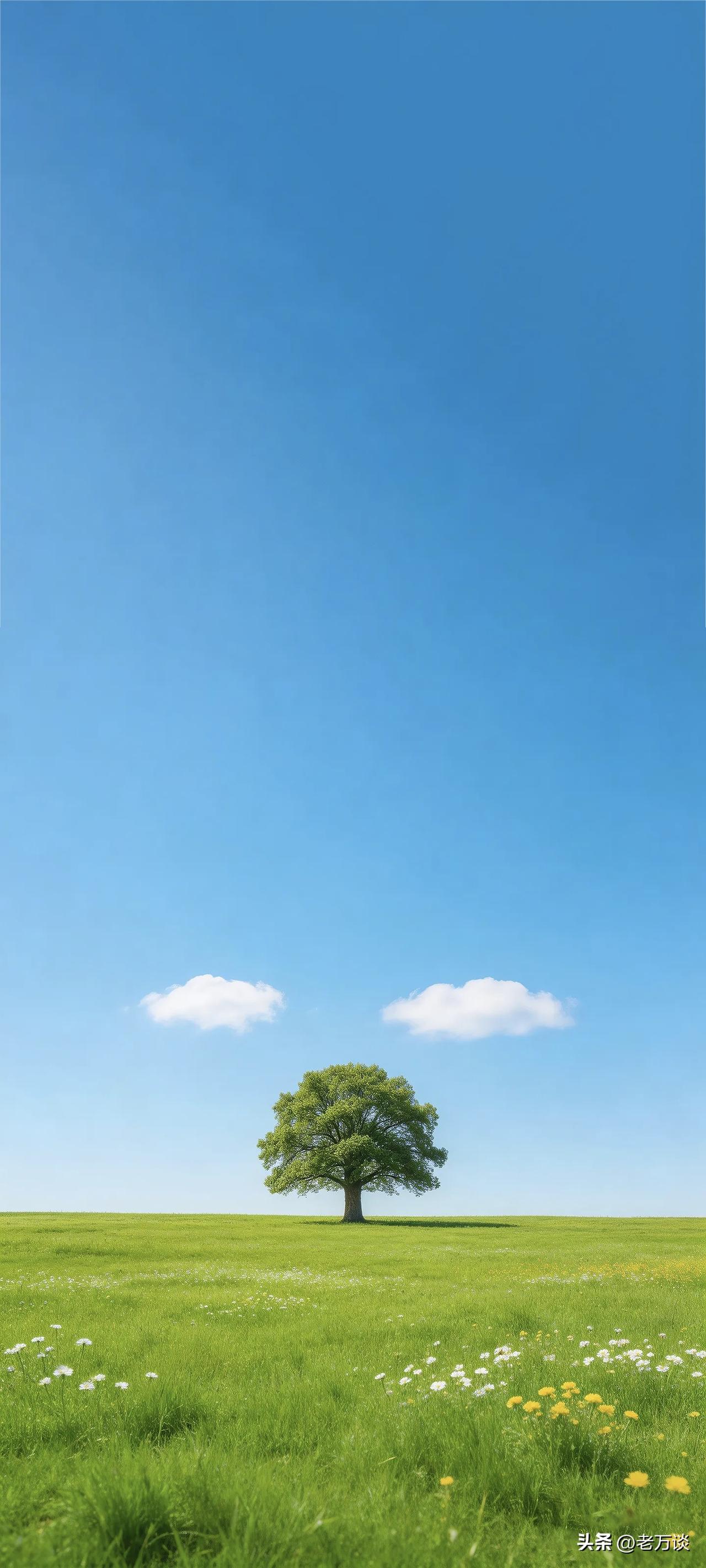 你可以不要贞洁，你的家人可以不要贞洁，你的亲朋好友可以不要贞洁，可以认为贞洁就是