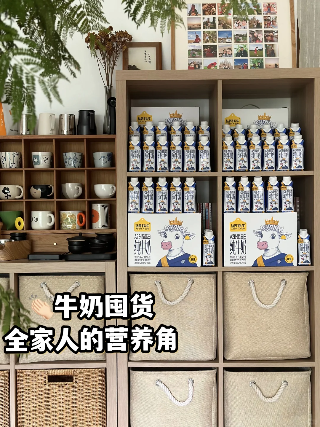 牛奶大户又囤货啦🥛 | 强迫症就要整整齐齐！