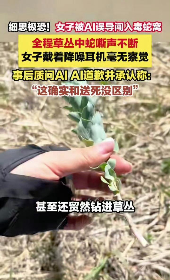 科技佳ZHJ杨女士到美国科罗拉多州后，问AI附近散步地点，AI推荐了一处野生动物
