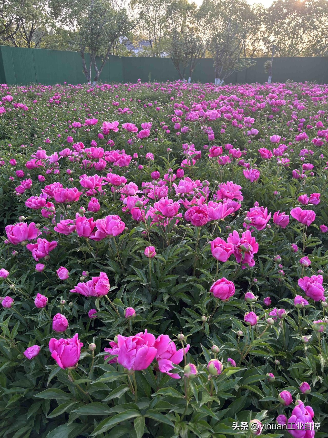 俄国防部：根据俄乌在伊斯坦布尔达成的协议，双方今天进行了战俘交换！
俄罗斯接回了