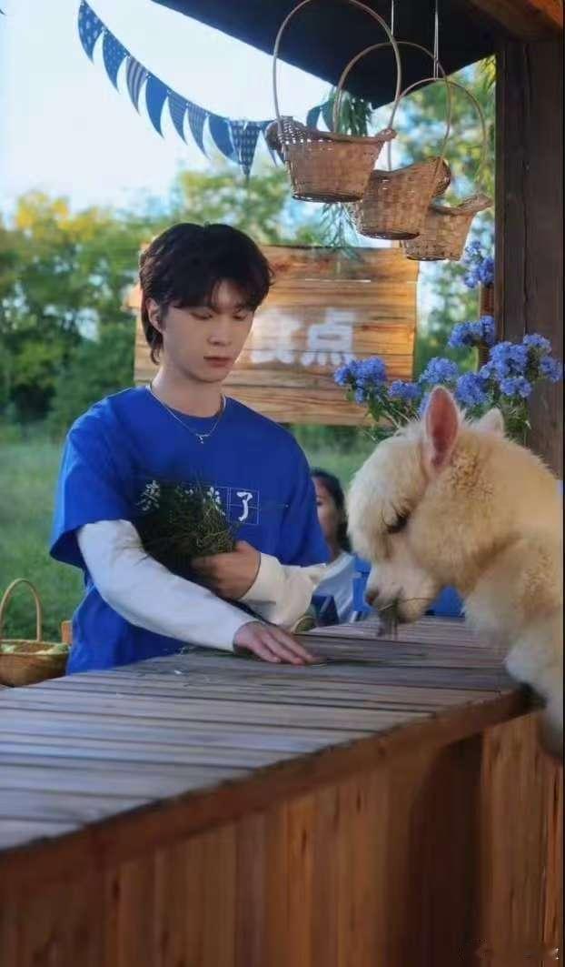 范丞丞近距离喂羊驼名场面来了！范丞丞认真拿着草料准备喂羊驼，没想到羊驼直接怼脸出