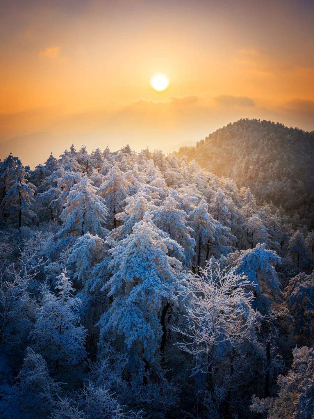 SOS❗️我拍到了宁波版的日照雪山