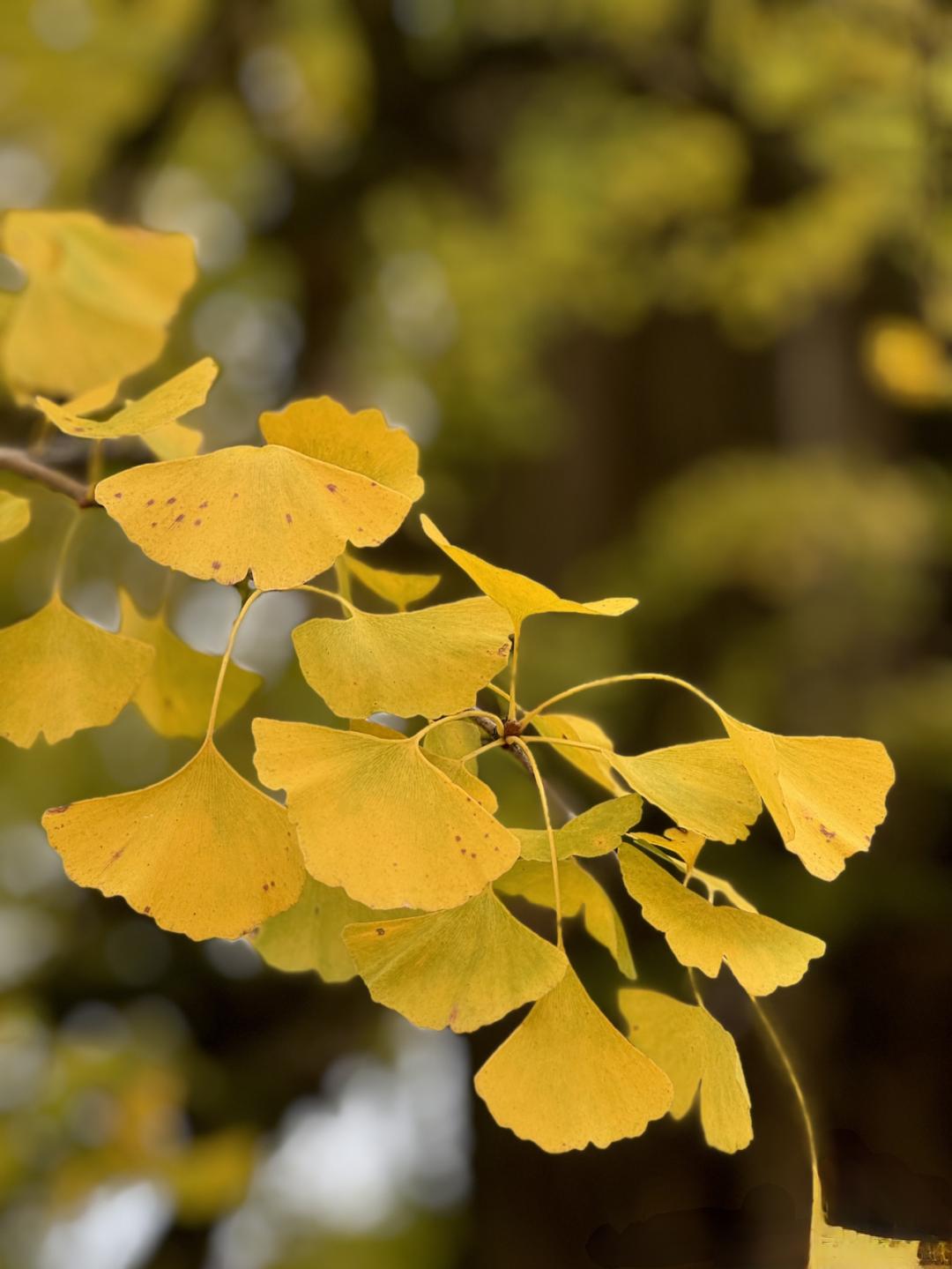 【天底下只有一种方法可以影响他人，就是提出他们的需要，并且让他们知道怎样去获得】
