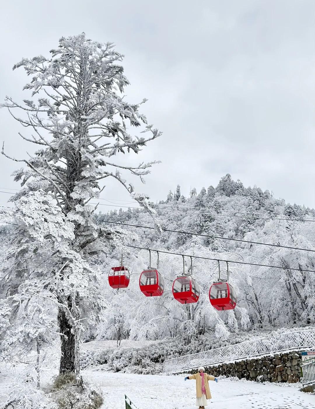 11.19实拍 | 成都周边！朋友以为我去了北欧
11.19实拍📸
在喇叭河邂