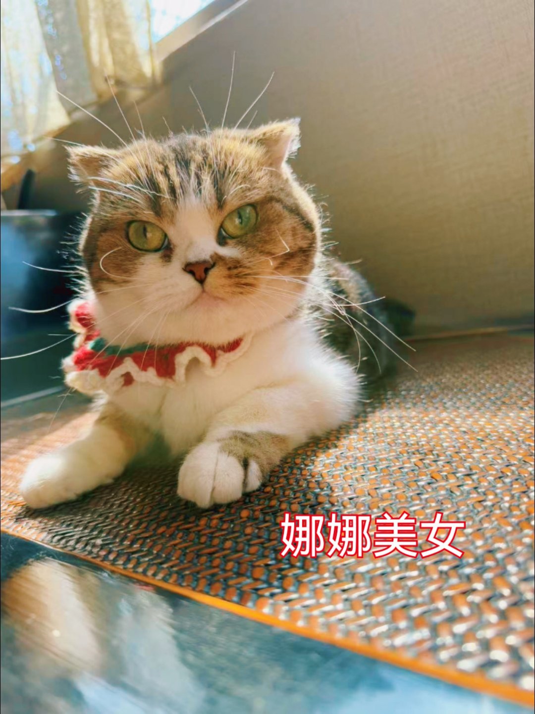 下半年最强冷空气国庆影响广东真的有冷空气来吗？现在每天还是热烘烘的，空调没有一分