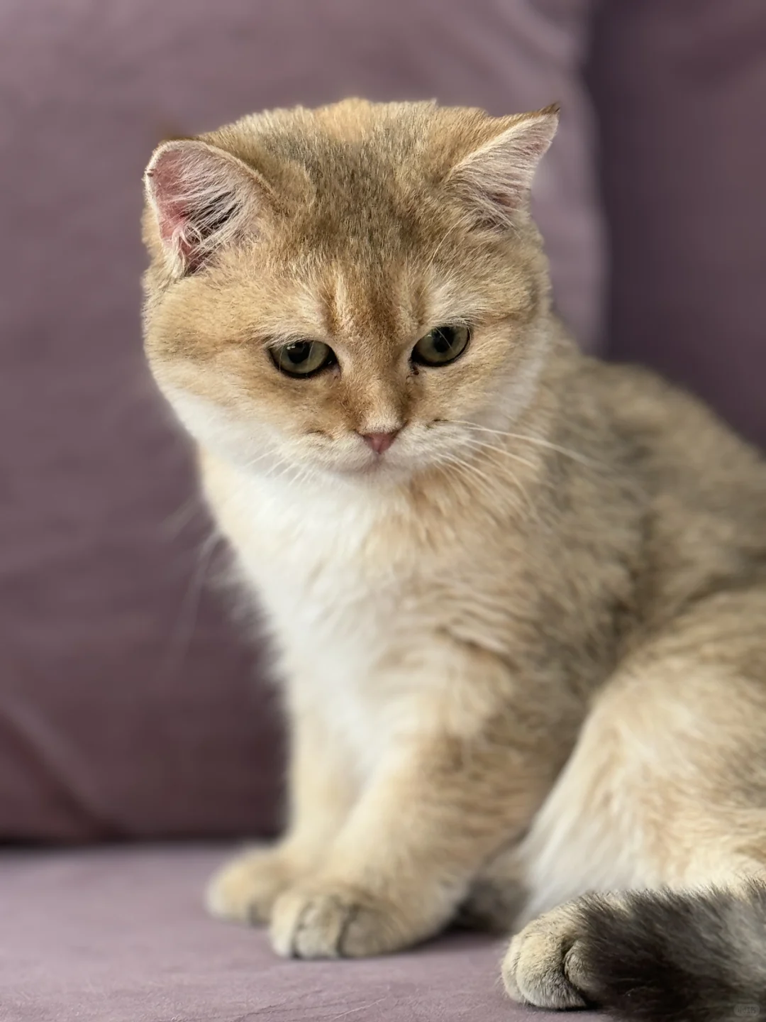 周五周五生龙活虎