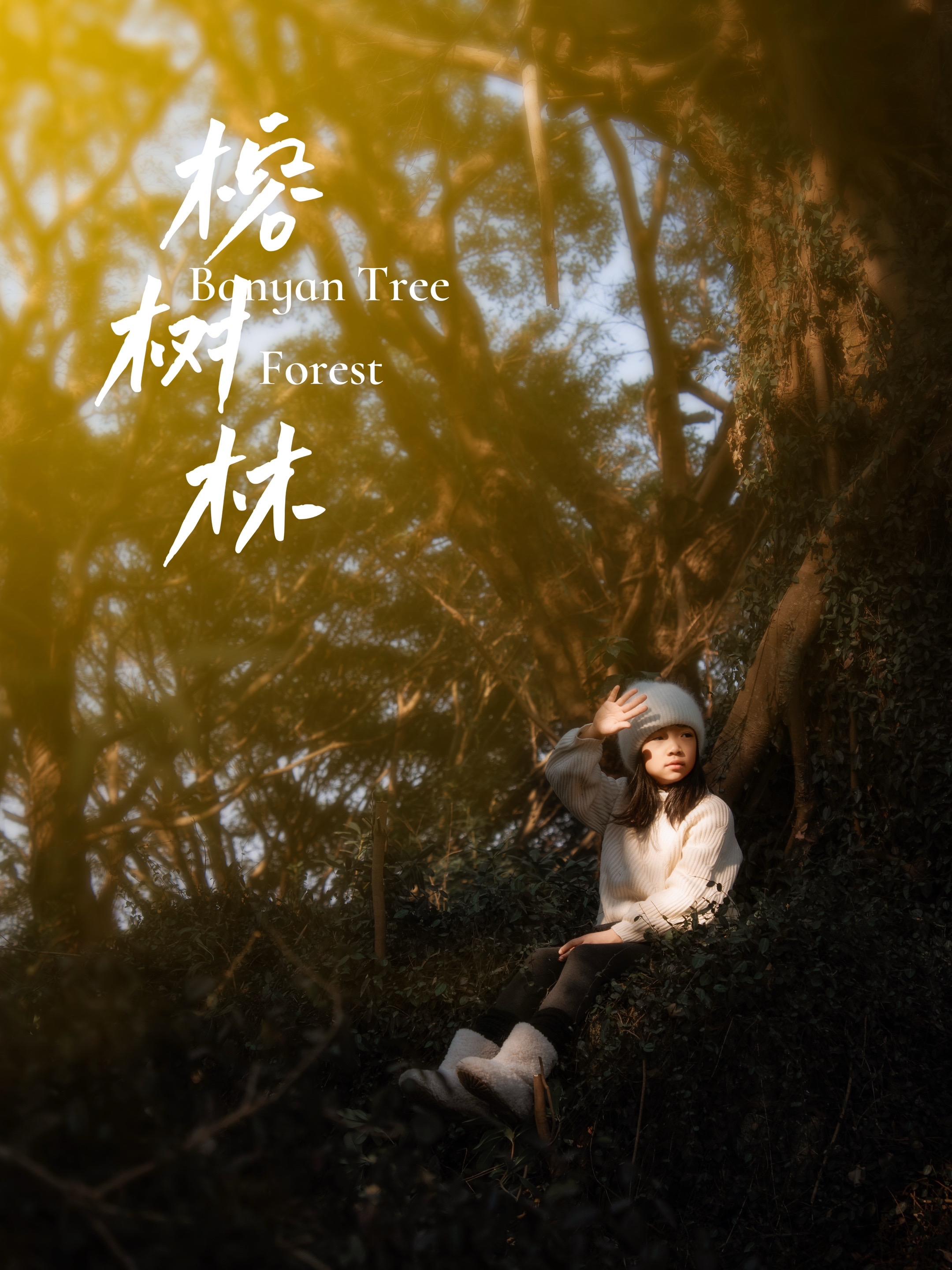 探秘椒江三甲榕树林，解锁亲子拍照宝藏地！周末不知带娃去哪玩？椒江三甲榕...