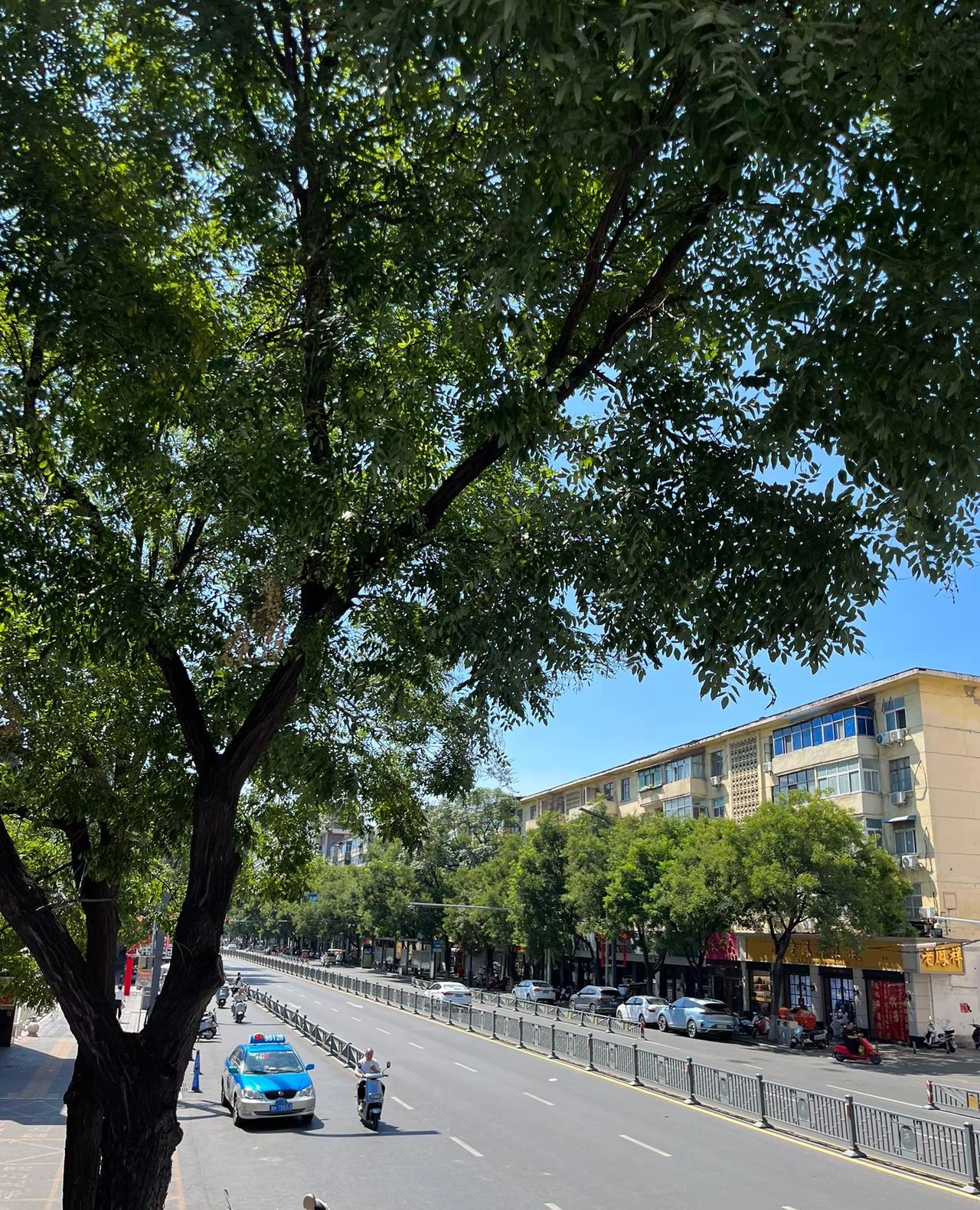 72年属鼠的没有当上爷爷奶奶，外公外婆的出来握个手✋。。
你们现在急吗？
我倒是