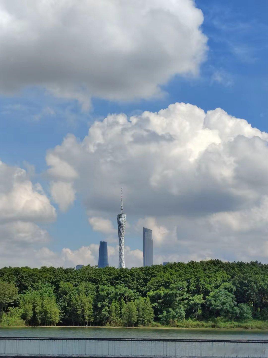 你信不信，一旦你全职炒股、不再上班，最先失去的不是稳定薪水，而是清净。家人亲戚、