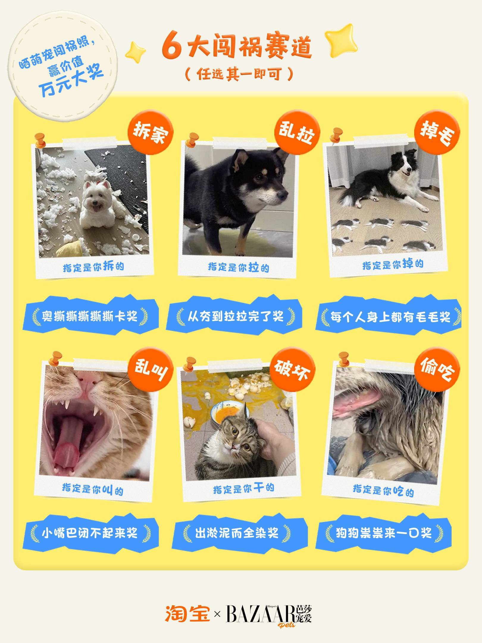 猫咪淘气宝闯祸大会宝贝的可爱宝贝来宠爱云逛亚宠展经常刷到猫咪偷吃被抓包还装无辜，